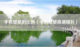 手机壁纸的比例（手机纸壁高清图片）