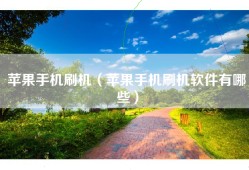 苹果手机刷机（苹果手机刷机软件有哪些）