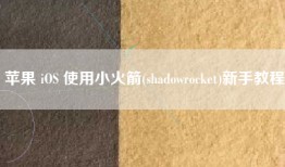 苹果 iOS 使用小火箭(shadowrocket)新手教程