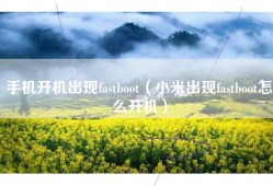 手机开机出现fastboot（小米出现fastboot怎么开机）