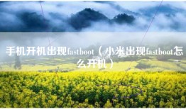 手机开机出现fastboot（小米出现fastboot怎么开机）
