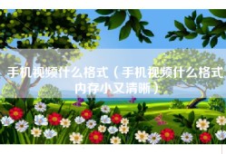 手机视频什么格式（手机视频什么格式内存小又清晰）