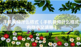 手机视频什么格式（手机视频什么格式内存小又清晰）