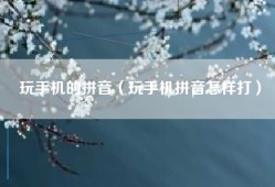 玩手机的拼音（玩手机拼音怎样打）