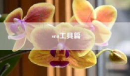 seo工具篇