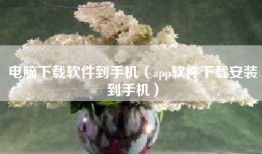 电脑下载软件到手机（app软件下载安装到手机）