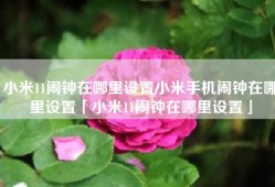 小米11闹钟在哪里设置小米手机闹钟在哪里设置「小米11闹钟在哪里设置」