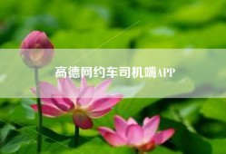 高德网约车司机端APP