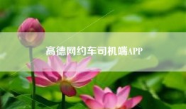 高德网约车司机端APP