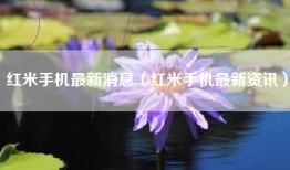 红米手机最新消息（红米手机最新资讯）
