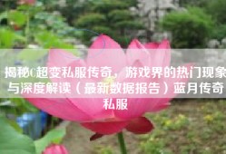 揭秘C超变私服传奇，游戏界的热门现象与深度解读（最新数据报告）蓝月传奇私服