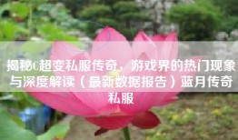 揭秘C超变私服传奇，游戏界的热门现象与深度解读（最新数据报告）蓝月传奇私服