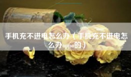 手机充不进电怎么办（手机充不进电怎么办oppo的）