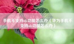 手机不支持nfc功能怎么办（华为手机不支持nfc功能怎么办）