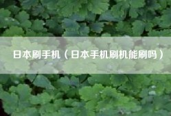 日本刷手机（日本手机刷机能刷吗）