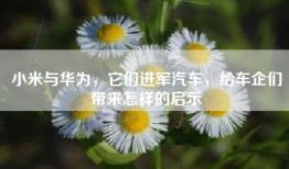 小米与华为，它们进军汽车，给车企们带来怎样的启示