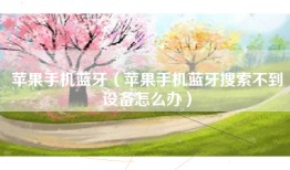 苹果手机蓝牙（苹果手机蓝牙搜索不到设备怎么办）