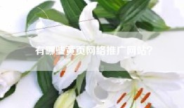 有哪些黄页网络推广网站？