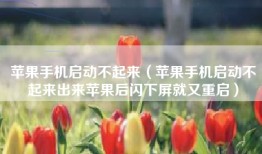 苹果手机启动不起来（苹果手机启动不起来出来苹果后闪下屏就又重启）