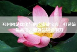 郑州网站优化与推广实战宝典，打造流量高地，增强品牌影响力
