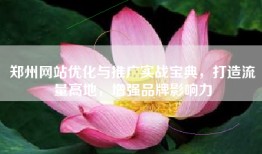 郑州网站优化与推广实战宝典，打造流量高地，增强品牌影响力