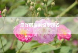 最好的搜索引擎排名