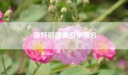 最好的搜索引擎排名