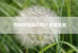 如何找到自己的代理服务器