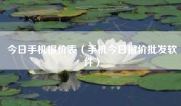 今日手机报价表（手机今日报价批发软件）
