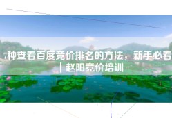 7种查看百度竞价排名的方法，新手必看｜赵阳竞价培训