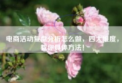 电商活动复盘分析怎么做，四大维度，教你具体方法！