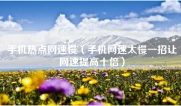 手机热点网速慢（手机网速太慢一招让网速提高十倍）