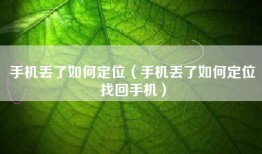 手机丢了如何定位（手机丢了如何定位找回手机）