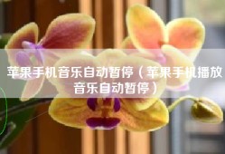 苹果手机音乐自动暂停（苹果手机播放音乐自动暂停）