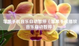 苹果手机音乐自动暂停（苹果手机播放音乐自动暂停）