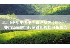 2024-2029年中国电池管理系统（BMS）行业市场前瞻与投资战略规划分析报告