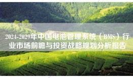 2024-2029年中国电池管理系统（BMS）行业市场前瞻与投资战略规划分析报告