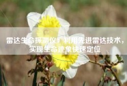 雷达生命探测仪：利用先进雷达技术，实现生命迹象快速定位