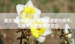 雷达生命探测仪：利用先进雷达技术，实现生命迹象快速定位
