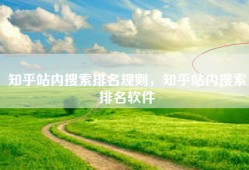 知乎站内搜索排名规则，知乎站内搜索排名软件