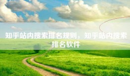 知乎站内搜索排名规则，知乎站内搜索排名软件