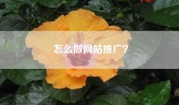 怎么做网站推广？