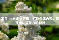 苹果CMS自定义采集：打造专属内容，提升网站竞争力的利器