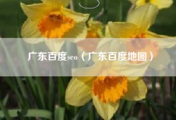 广东百度seo（广东百度地图）
