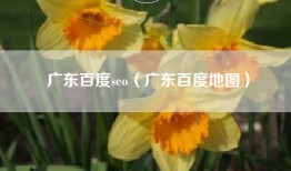 广东百度seo（广东百度地图）