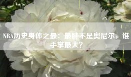 NBA历史身体之最：最胖不是奥尼尔，谁手掌最大？