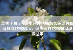 苹果手机ios16弹出允许粘贴怎么关闭并取消复制粘贴提示，误关允许粘贴如何设置回来