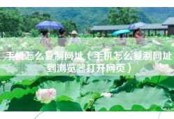 手机怎么复制网址（手机怎么复制网址到浏览器打开网页）
