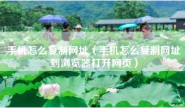 手机怎么复制网址（手机怎么复制网址到浏览器打开网页）