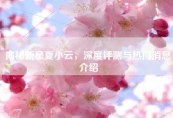 揭秘新星夏小云，深度评测与热门消息介绍